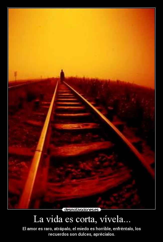 La vida es corta, vívela... - El amor es raro, atrápalo, el miedo es horrible, enfréntalo, los
recuerdos son dulces, aprécialos.