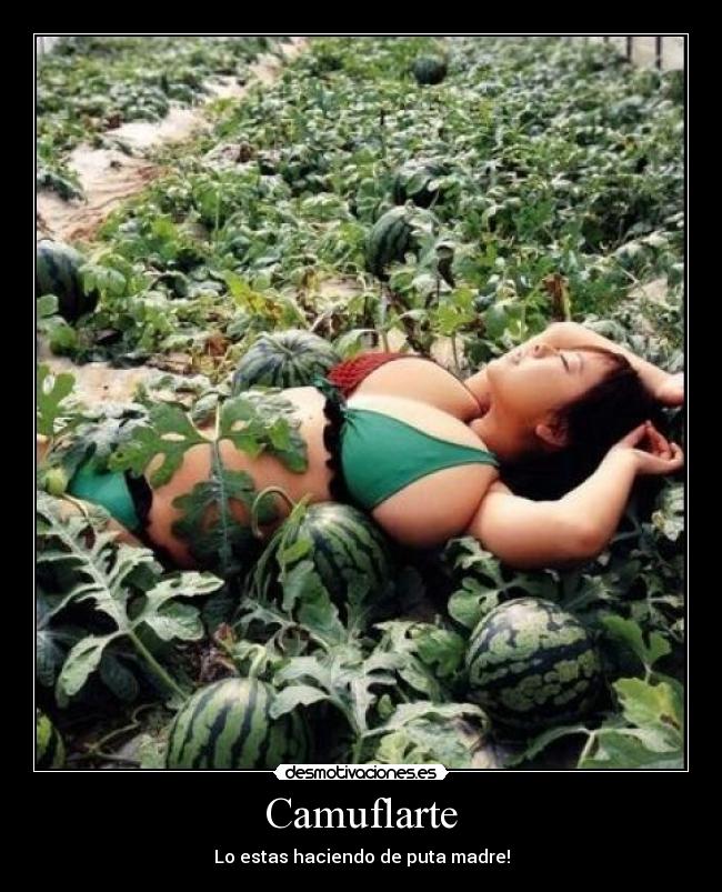 Camuflarte - 