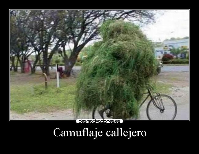 Camuflaje callejero - 