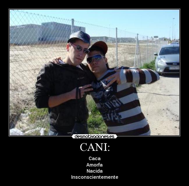 carteles canis pokeros shulos patetico desmotivaciones