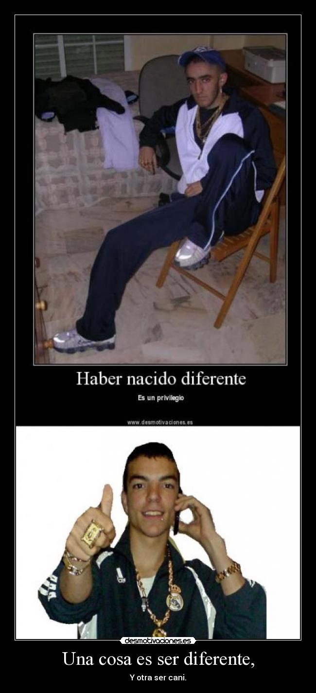 Una cosa es ser diferente, - Y otra ser cani.