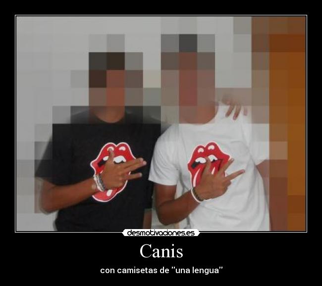 Canis - con camisetas de una lengua