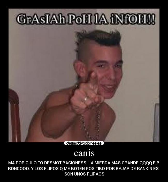 canis - ATOMA POR CULO TO DESMOTIBACIONESS LA MIERDA MAS GRANDE QQQQ E BISTO
TRONCOOO. Y LOS FLIPOS Q ME BOTEN POSITIBO POR BAJAR DE RANKIN ES Q
SON UNOS FLIPAOS