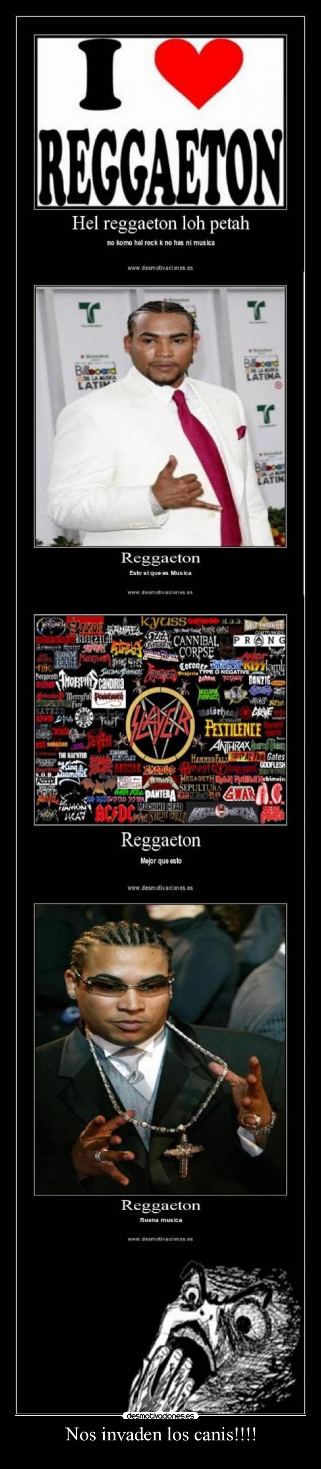 Nos invaden los canis!!!! -