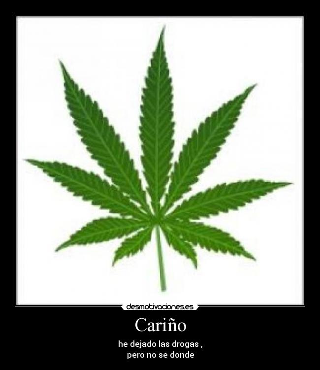 Cariño - he dejado las drogas ,
pero no se donde