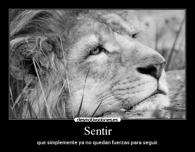 Sentir - que simplemente ya no quedan fuerzas para seguir.