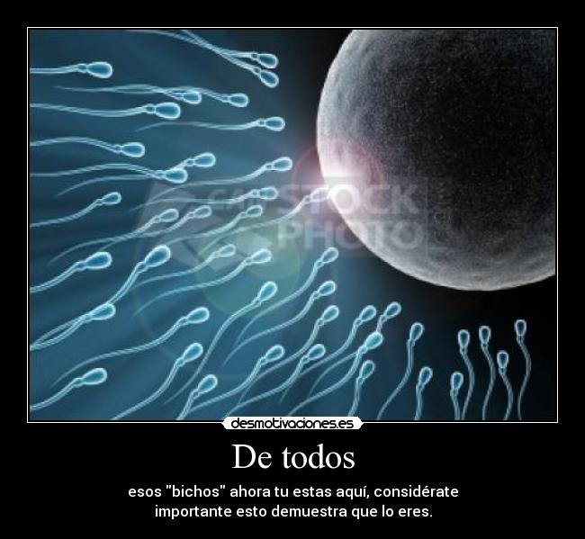 carteles congratulations desmotivaciones