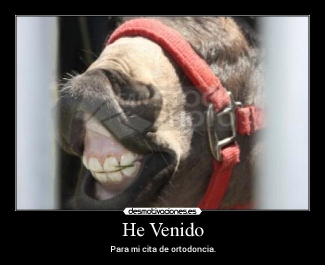 He Venido - Para mi cita de ortodoncia.
