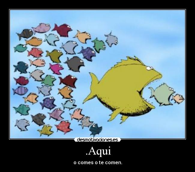 .Aqui - o comes o te comen.
