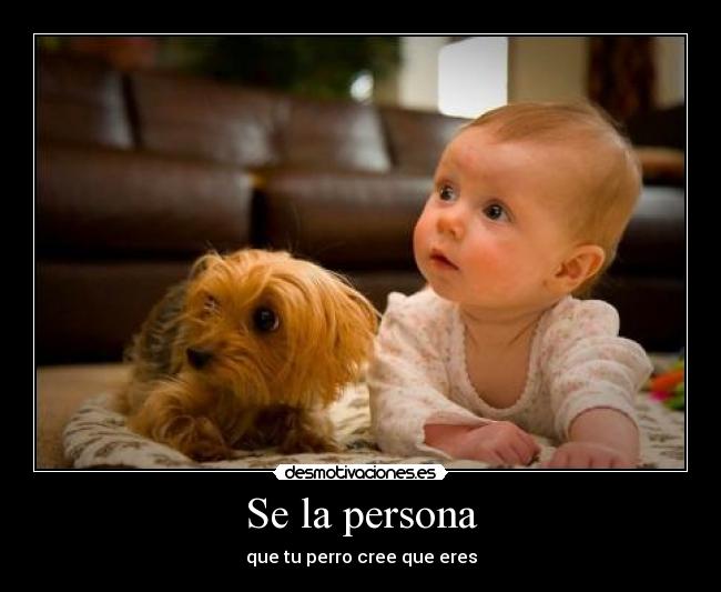 Se la persona - que tu perro cree que eres