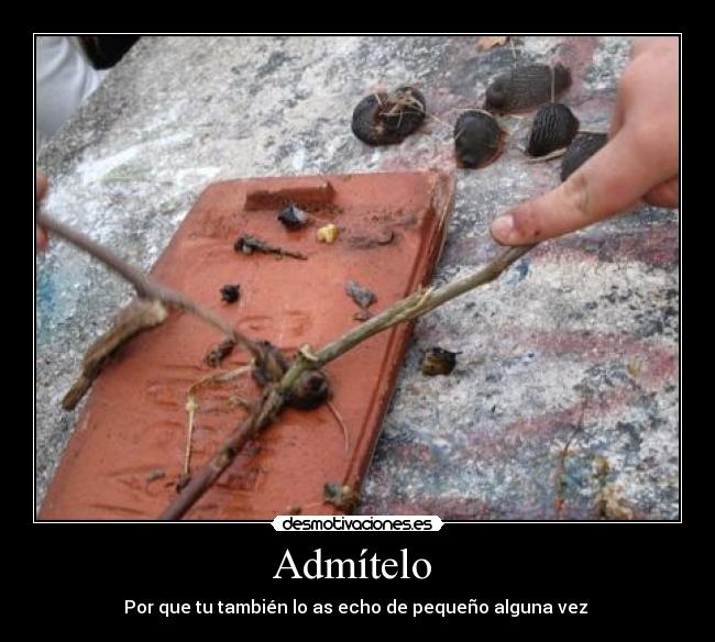 Admítelo  - Por que tu también lo as echo de pequeño alguna vez 