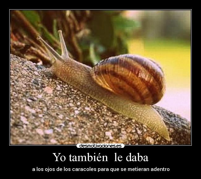 carteles caracol desmotivaciones