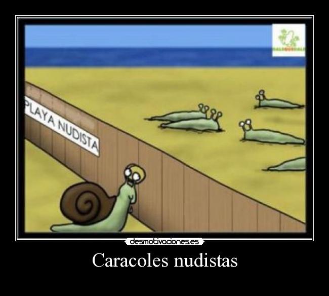 Caracoles nudistas - 