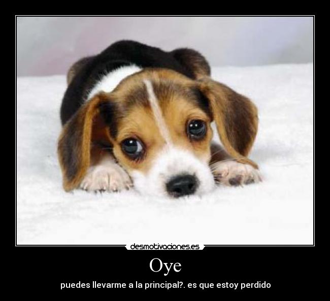 Oye -