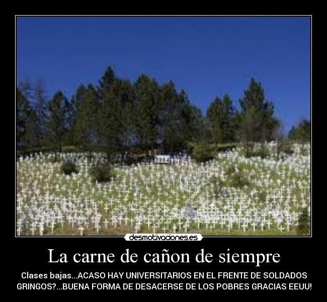 La carne de cañon de siempre - Clases bajas...ACASO HAY UNIVERSITARIOS EN EL FRENTE DE SOLDADOS
GRINGOS?...BUENA FORMA DE DESACERSE DE LOS POBRES GRACIAS EEUU!