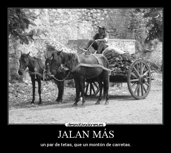 JALAN MÁS - un par de tetas, que un montón de carretas.