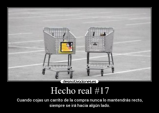 Hecho real #17 -