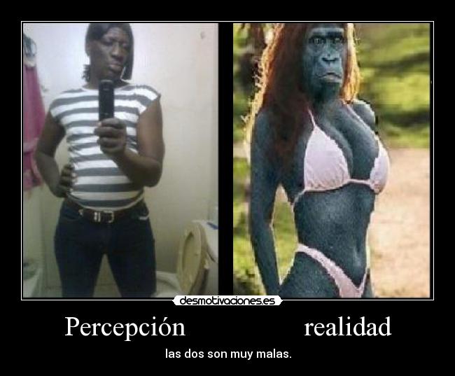 Percepción realidad - las dos son muy malas.