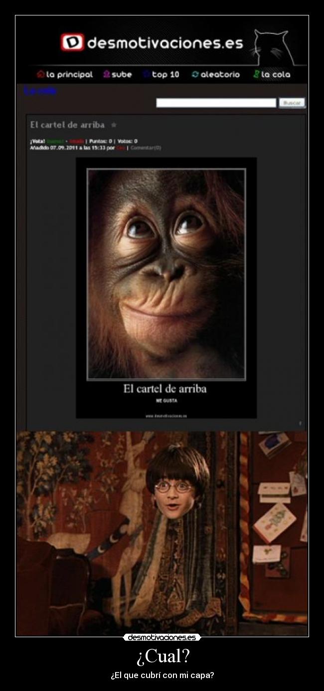 ¿Cual? - ¿El que cubrí con mi capa?