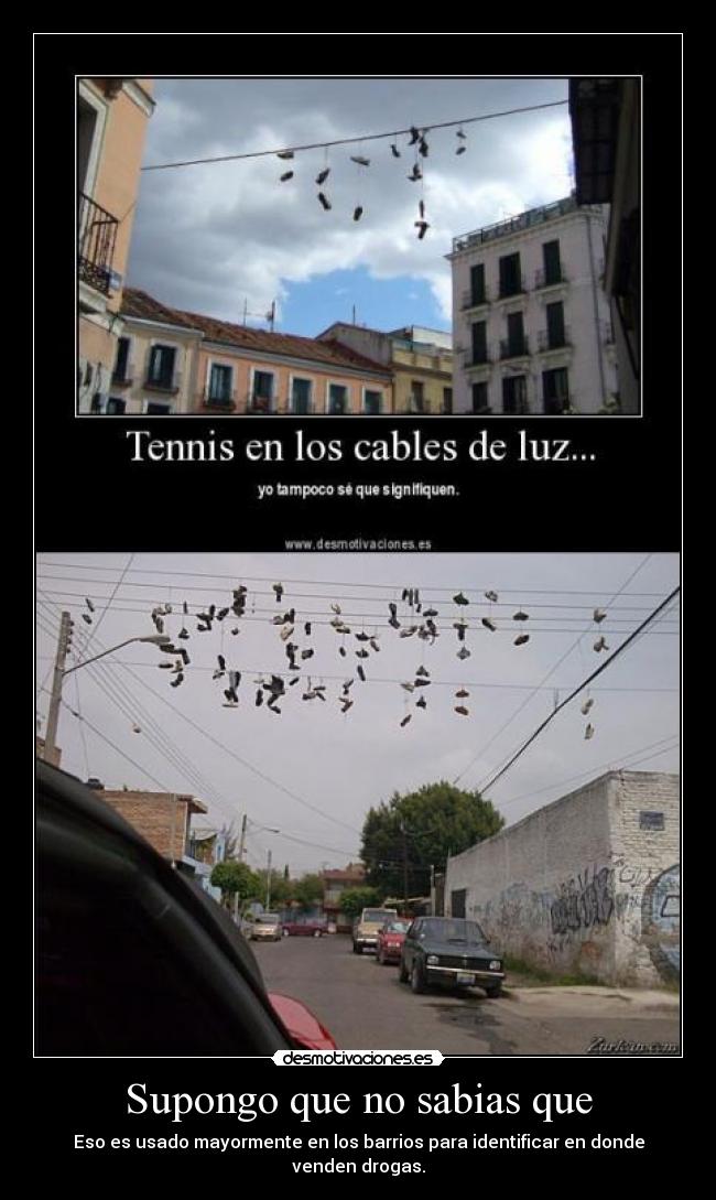 Supongo que no sabias que -