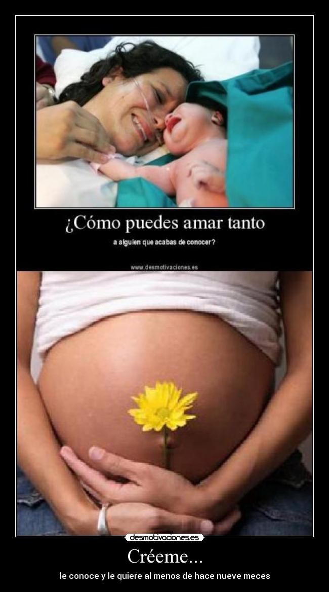 Créeme... - le conoce y le quiere al menos de hace nueve meces