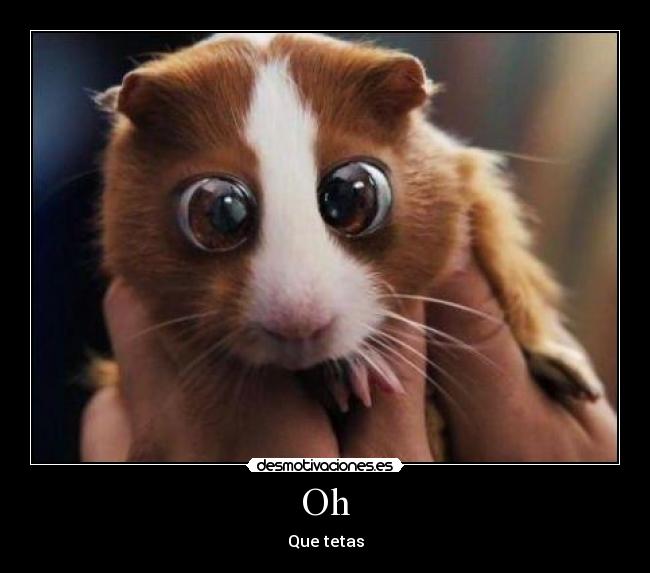Oh - Que tetas