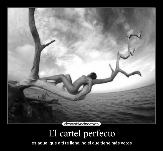 El cartel perfecto -