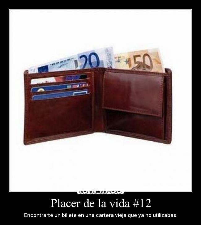 Placer de la vida #12 -