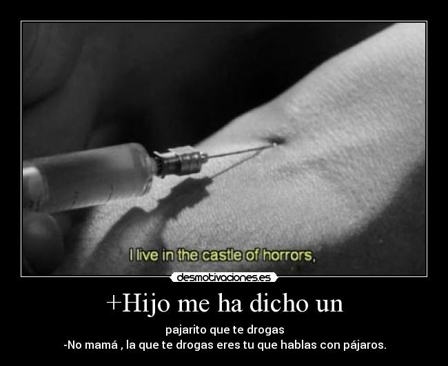 +Hijo me ha dicho un -