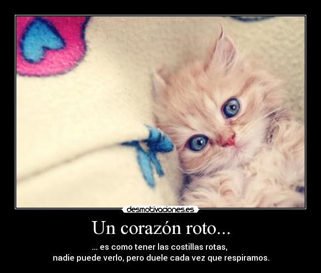 Un corazón roto... - ... es como tener las costillas rotas, 
nadie puede verlo, pero duele cada vez que respiramos.