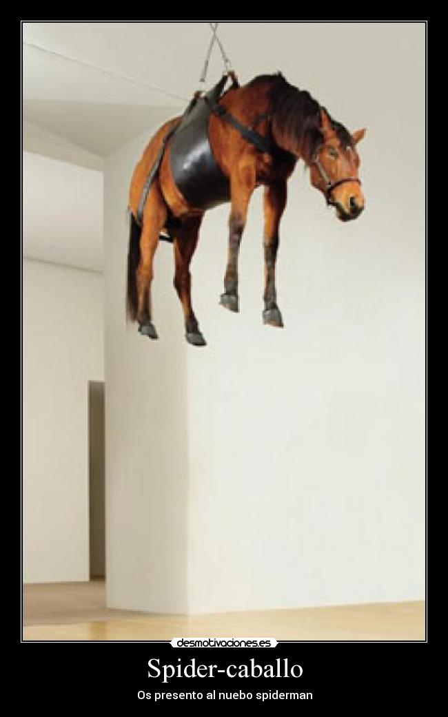 Spider-caballo - 