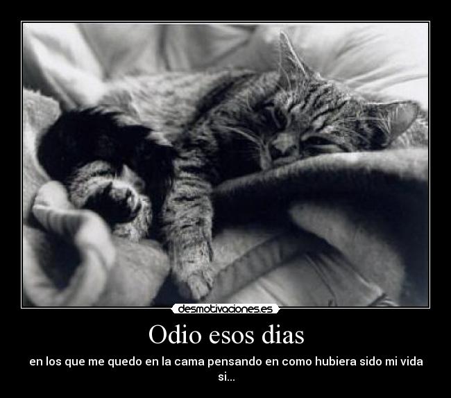 Odio esos dias - 