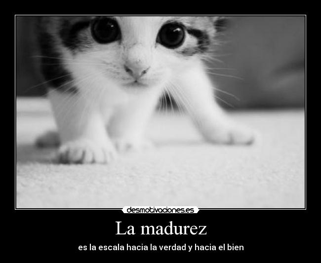 La madurez - es la escala hacia la verdad y hacia el bien