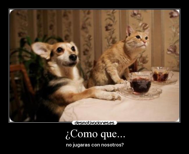 ¿Como que... - no jugaras con nosotros?