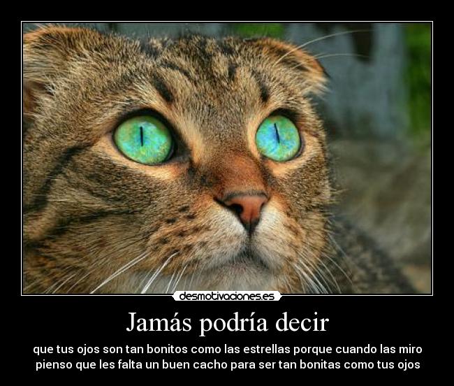 Jamás podría decir -