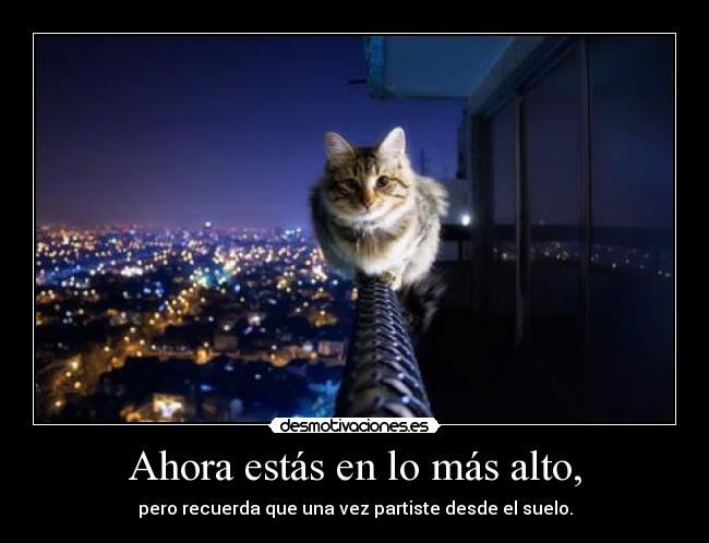 Ahora estás en lo más alto, - 