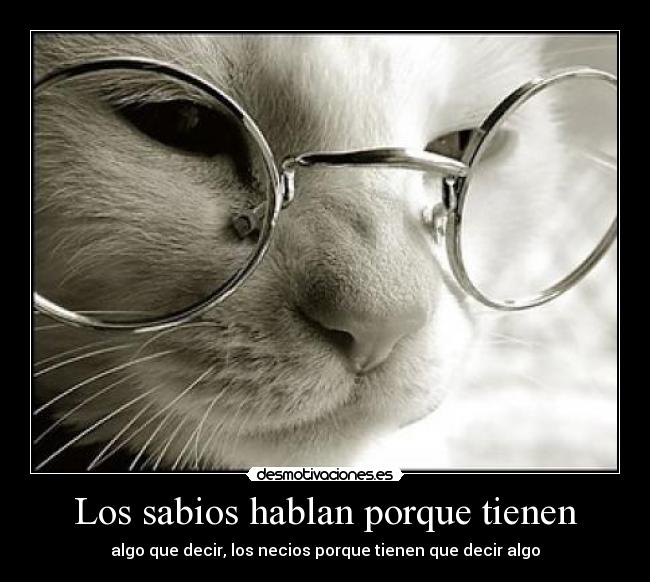 Los sabios hablan porque tienen - 