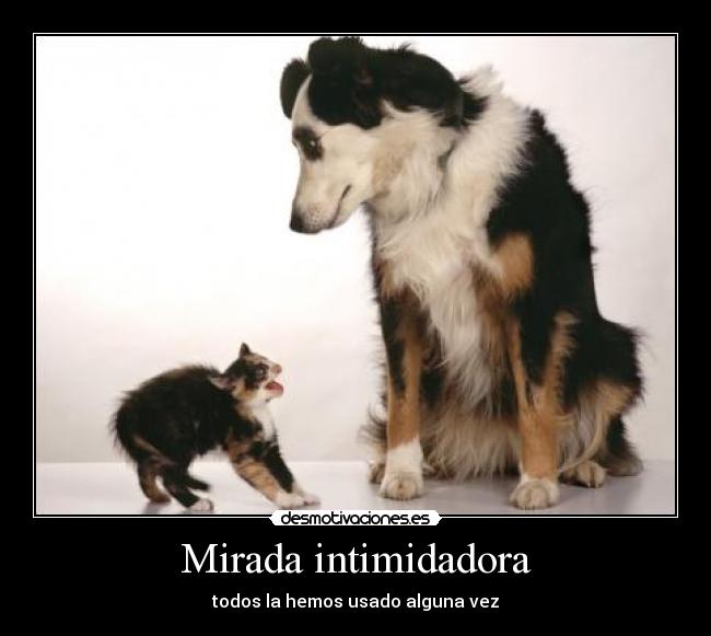 carteles principaldarky10votapositivootemirofeo desmotivaciones