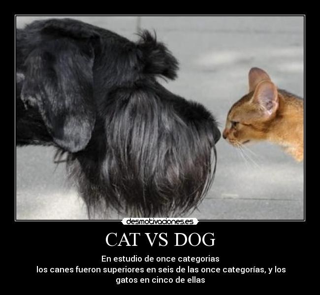 CAT VS DOG - En estudio de once categorias
 los canes fueron superiores en seis de las once categorías, y los
gatos en cinco de ellas