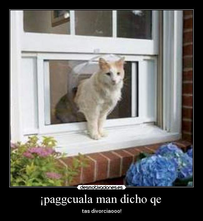 ¡paggcuala man dicho qe -