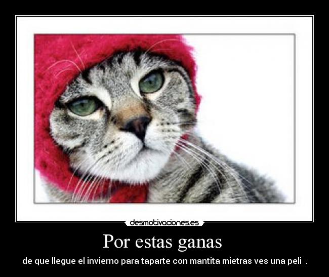 Por estas ganas - de que llegue el invierno para taparte con mantita mietras ves una peli .