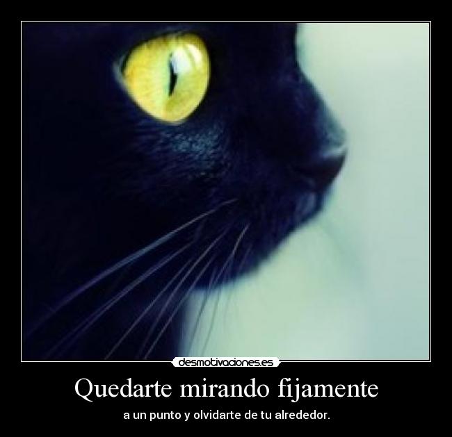 Quedarte mirando fijamente - 