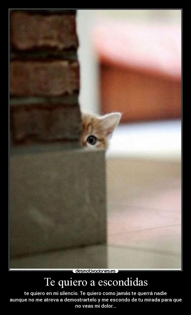 Te quiero a escondidas -