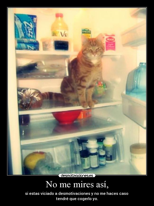 No me mires así, - si estas viciado a desmotivaciones y no me haces caso
tendré que cogerlo yo.