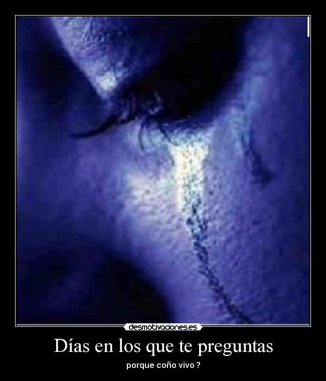 Días en los que te preguntas - 