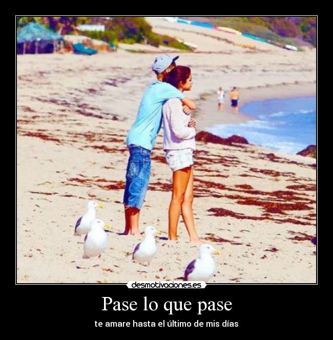 Pase lo que pase - te amare hasta el último de mis días