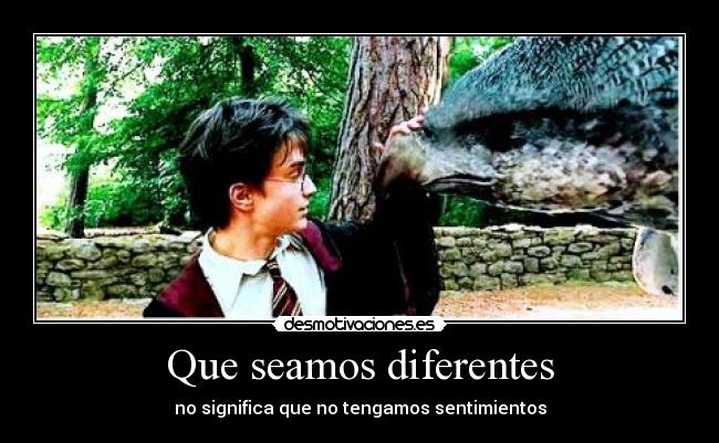 Que seamos diferentes - no significa que no tengamos sentimientos