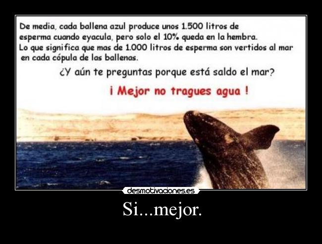 Si...mejor. -