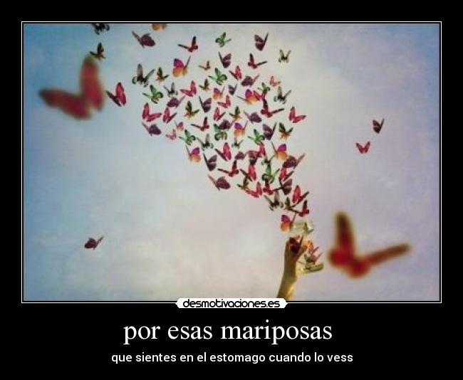 por esas mariposas -