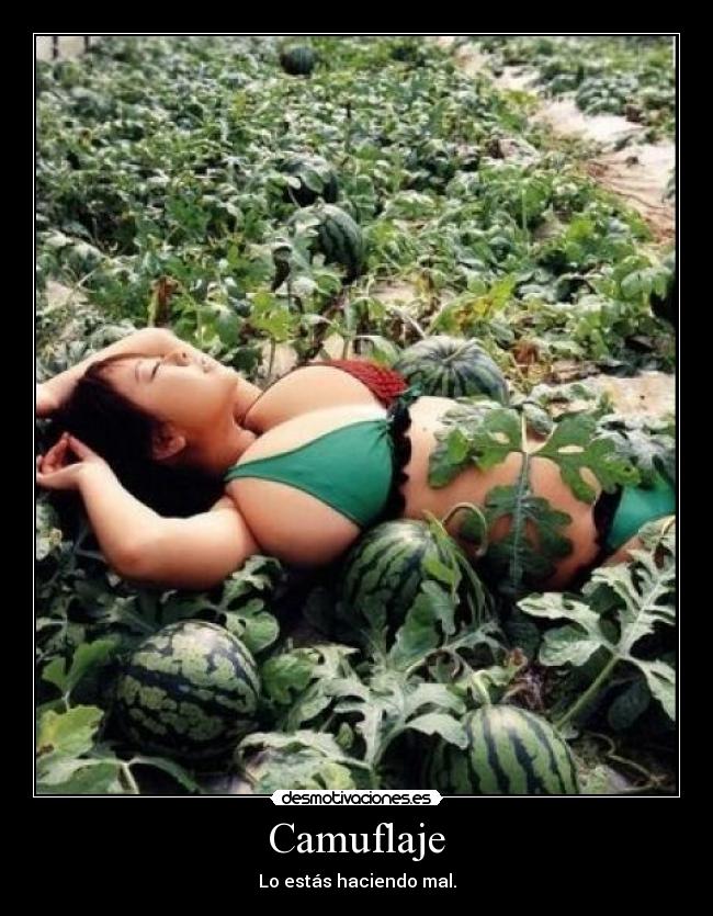 Camuflaje -